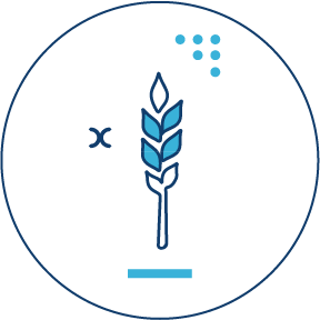 agriculture